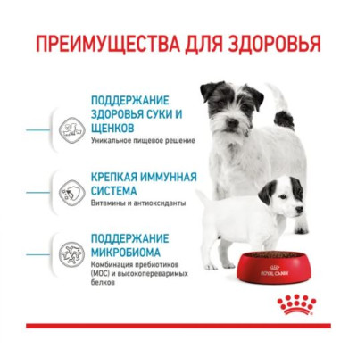 Сухий корм для собак Royal Canin Mini Starter