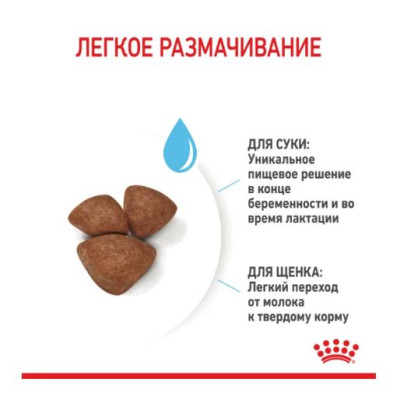 Сухий корм для собак Royal Canin Mini Starter