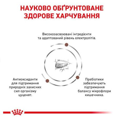 Royal Canin Gastrointestinal Puppy ветеринарна дієта для цуценят при порушеннях травлення - 2,5 кг