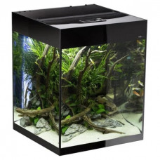 Акваріумний набір Aquael «Glossy Cube» чорний, прямий (135 л)