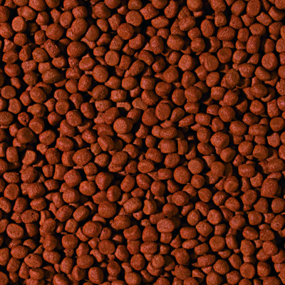Сухий корм для акваріумних риб Tropical в гранулах «Cichlid Carnivore Medium Pellet» 1 л (для м'ясоїдних цихлід) Сухий корм для акваріумних риб Tropical в гранулах «Cichlid Carnivore Medium Pellet» 1 л (для м'ясоїдних цихлід)