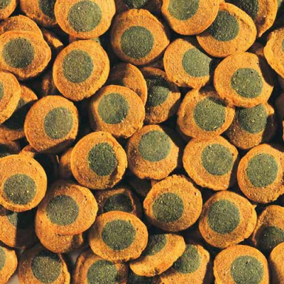 Сухий корм для акваріумних риб Tetra в пластинках «Pleco Spirulina Wafers» 3,6 л (для травоїдних донних риб) Сухий корм для акваріумних риб Tetra в пластинках «Pleco Spirulina Wafers» 3,6 л (для травоїдних донних риб)