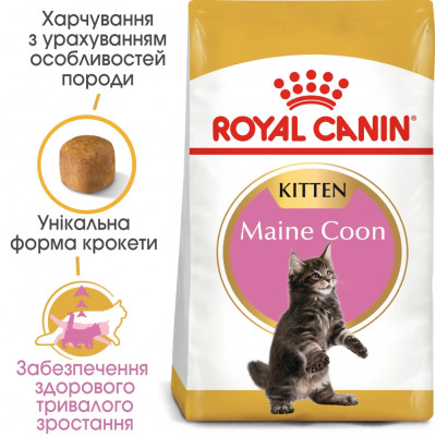 Сухий корм для кошенят породи мейн-кун Royal Canin Kitten Maine Coon 2 кг + контейнер у подарунок (домашня птиця) Сухий корм для кошенят породи мейн-кун Royal Canin Kitten Maine Coon 2 кг + контейнер у подарунок (домашня птиця)