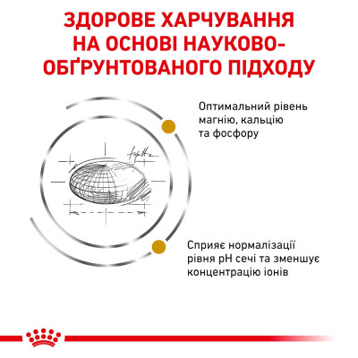 Сухий корм для котів, для підтримки сечовивідної системи Royal Canin Urinary S/O 1,5 кг (домашня птиця) Сухий корм для котів, для підтримки сечовивідної системи Royal Canin Urinary S/O 1,5 кг (домашня птиця)