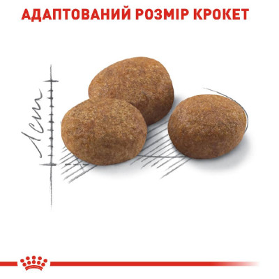 Сухий корм для літніх стерилізованих котів Royal Canin Sterilised 7+, 1,5 кг (домашня птиця) Сухий корм для літніх стерилізованих котів Royal Canin Sterilised 7+, 1,5 кг (домашня птиця)