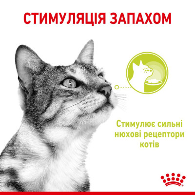 Влажный корм для привередливых к запаху кошек Royal Sensory Smell pouch в желе 85 г Влажный корм для привередливых к запаху кошек Royal Sensory Smell pouch в желе 85 г