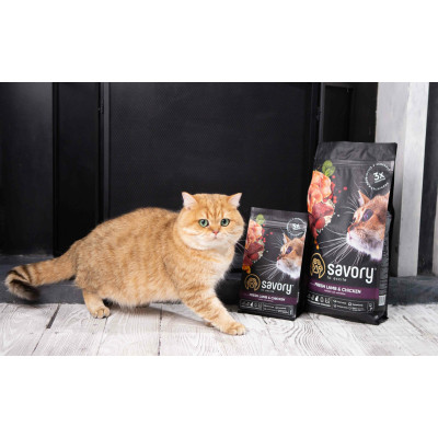 Сухий корм для стерилізованих котів Savory 8 кг (ягня та курка) Сухий корм для стерилізованих котів Savory 8 кг (ягня та курка)
