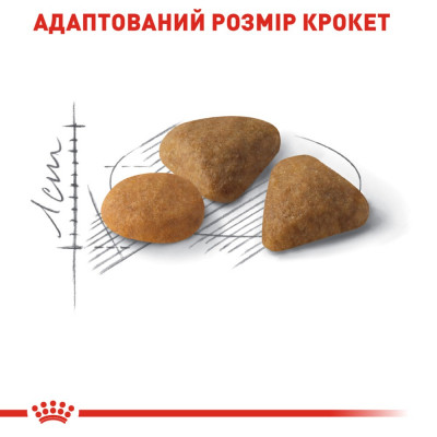 Сухой корм для привередливых кошек Royal Canin Savour Exigent |8+2 кг в подарок (домашняя птица) Сухой корм для привередливых кошек Royal Canin Savour Exigent |8+2 кг в подарок (домашняя птица)