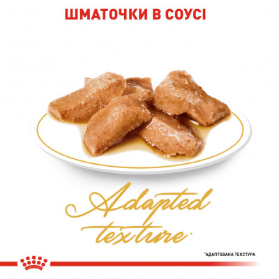 Вологий корм для дорослих котів породи мейн-кун Royal Canin Maine Coon Adult pouch 85 г (домашня птиця) Вологий корм для дорослих котів породи мейн-кун Royal Canin Maine Coon Adult pouch 85 г (домашня птиця)