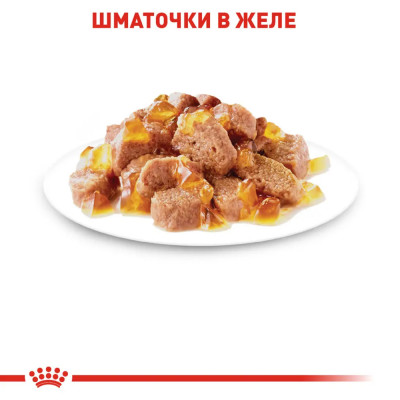 Вологий корм для котів Royal Canin Instinctive Jelly pouch 85г, 3+1 шт у подарунок (домашня птиця) Вологий корм для котів Royal Canin Instinctive Jelly pouch 85г, 3+1 шт у подарунок (домашня птиця)