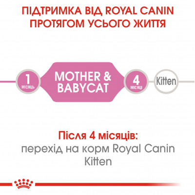Вологий корм для кошенят Royal Canin Mother & Babycat 195 г (домашня птиця) Вологий корм для кошенят Royal Canin Mother & Babycat 195 г (домашня птиця)