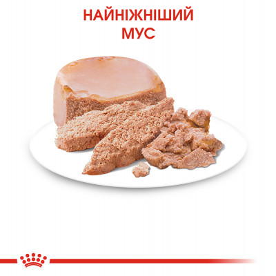 Вологий корм для кошенят Royal Canin Mother & Babycat 195 г (домашня птиця) Вологий корм для кошенят Royal Canin Mother & Babycat 195 г (домашня птиця)
