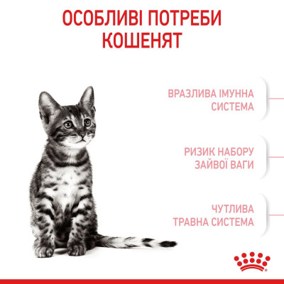 Сухий корм для стерилізованих кошенят Royal Canin Kitten Sterilised 400 г (домашня птиця) Сухий корм для стерилізованих кошенят Royal Canin Kitten Sterilised 400 г (домашня птиця)