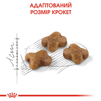 Сухий корм для кошенят Royal Canin Kitten 2 кг + 400 г у ПОДАРУНОК (домашня птиця) Сухий корм для кошенят Royal Canin Kitten 2 кг + 400 г у ПОДАРУНОК (домашня птиця)