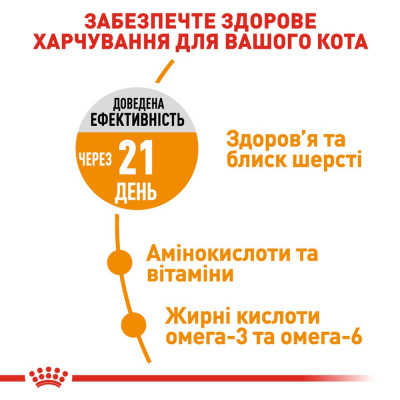 Сухий корм для котів, догляд за шерстю Royal Canin Hair & Skin Care | 2 кг + 12 шт х 85 г павучів + інтерактивна годівниця