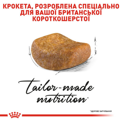 Сухий корм для котів породи британська короткошерста Royal Canin British Shorthair Adult | 4 кг + Catsan 10 л (домашня птиця) Сухий корм для котів породи британська короткошерста Royal Canin British Shorthair Adult | 4 кг + Catsan 10 л (домашня птиця)