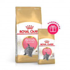Сухий корм для кошенят породи британська короткошерста Royal Canin Kitten British Shorthair 2 кг + 400 г у ПОДАРУНОК (домашня птиця)