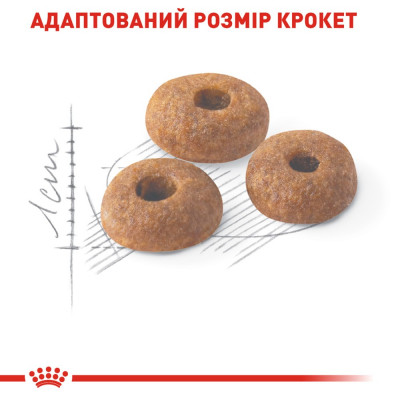 Сухий корм для дорослих котів Royal Canin Fit 32 | 2 кг + 12 шт х 85 г паучів вологого корму для котів + інтерактивна годівниця Сухий корм для дорослих котів Royal Canin Fit 32 | 2 кг + 12 шт х 85 г паучів вологого корму для котів + інтерактивна годівниця