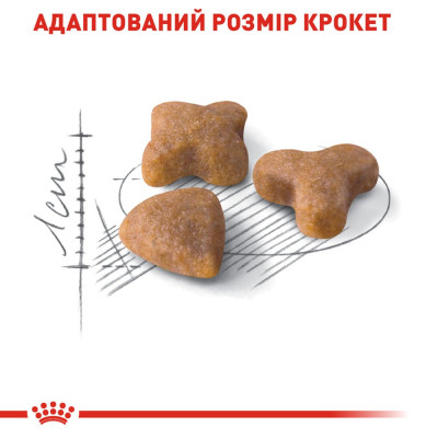Сухий корм для вибагливих котів з чутливим травленням Royal Canin Sensible 33 2 кг (домашня птиця) Сухий корм для вибагливих котів з чутливим травленням Royal Canin Sensible 33 2 кг (домашня птиця)