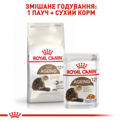 Сухий корм для літніх котів Royal Canin Ageing 12+, 2 кг (домашня птиця) Сухий корм для літніх котів Royal Canin Ageing 12+, 2 кг (домашня птиця)