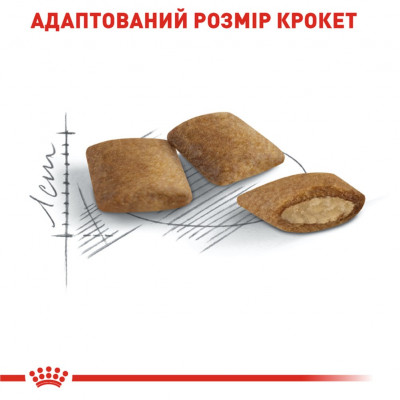 Сухий корм для літніх котів Royal Canin Ageing 12+, 2 кг (домашня птиця) Сухий корм для літніх котів Royal Canin Ageing 12+, 2 кг (домашня птиця)