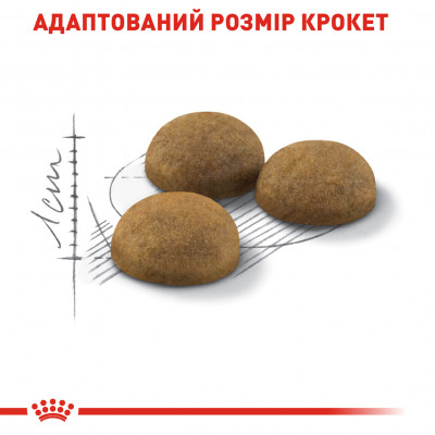 Сухий корм для довгошерстих котів, які живуть в приміщенні Royal Canin Indoor Long Hair 1,6 кг + 400 г у подарунок (домашня птиця)