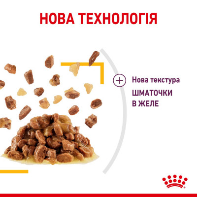 Вологий корм для вибагливих котів Royal Sensory Taste pouch в желе 85 г Вологий корм для вибагливих котів Royal Sensory Taste pouch в желе 85 г