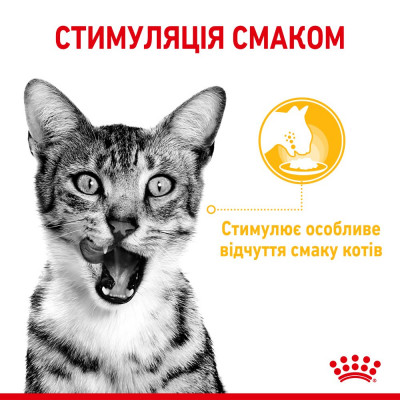 Вологий корм для вибагливих котів Royal Sensory Taste pouch в желе 85 г Вологий корм для вибагливих котів Royal Sensory Taste pouch в желе 85 г