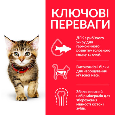 Сухий корм для кошенят Hills Science Plan Kitten 300 г - курка Сухий корм для кошенят Hills Science Plan Kitten 300 г - курка