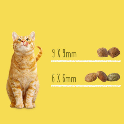 Сухий корм для стерилізованих кішок Friskies 10 кг (лосось та овочі) Сухий корм для стерилізованих кішок Friskies 10 кг (лосось та овочі)