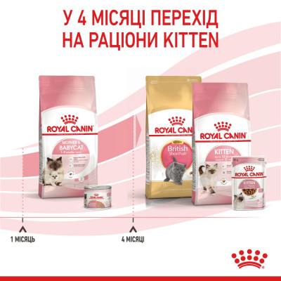 Сухой корм для котят Royal Canin Mother & Babycat 4 кг (домашняя птица) Сухой корм для котят Royal Canin Mother & Babycat 4 кг (домашняя птица)