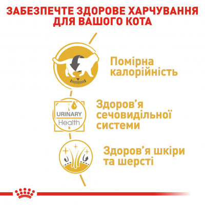 Вологий корм для дорослих котів породи британська короткошерста Royal Canin British Shorthair Adult pouch 85 г (домашня птиця) Вологий корм для дорослих котів породи британська короткошерста Royal Canin British Shorthair Adult pouch 85 г (домашня птиця)