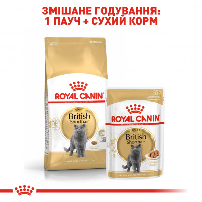 Вологий корм для дорослих котів породи британська короткошерста Royal Canin British Shorthair Adult pouch 85 г (домашня птиця) Вологий корм для дорослих котів породи британська короткошерста Royal Canin British Shorthair Adult pouch 85 г (домашня птиця)