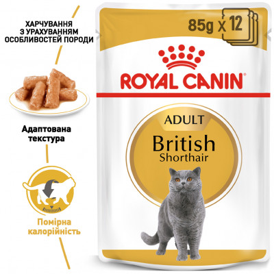 Вологий корм для дорослих котів породи британська короткошерста Royal Canin British Shorthair Adult pouch 85 г (домашня птиця) Вологий корм для дорослих котів породи британська короткошерста Royal Canin British Shorthair Adult pouch 85 г (домашня птиця)