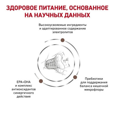 Сухий корм для котів, при захворюваннях шлунково-кишкового тракту Royal Canin Fibre Response 4 кг (домашня птиця) Сухий корм для котів, при захворюваннях шлунково-кишкового тракту Royal Canin Fibre Response 4 кг (домашня птиця)