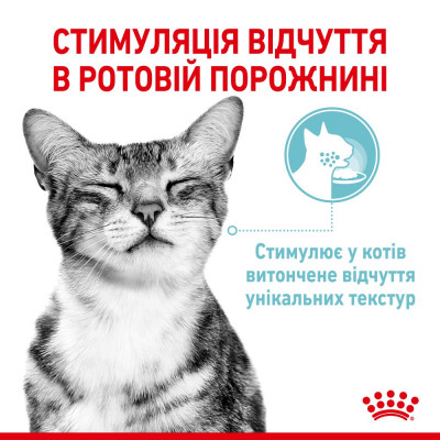 Вологий корм для котів для стимуляції тактильних рецепторів ротової порожнини Royal Sensory Feel pouch в желе 85 г Вологий корм для котів для стимуляції тактильних рецепторів ротової порожнини Royal Sensory Feel pouch в желе 85 г