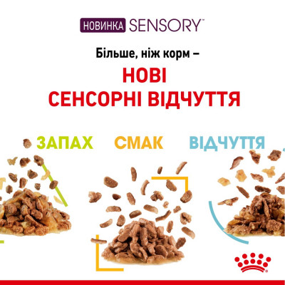 Вологий корм для котів для стимуляції тактильних рецепторів ротової порожнини Royal Sensory Feel pouch в желе 85 г Вологий корм для котів для стимуляції тактильних рецепторів ротової порожнини Royal Sensory Feel pouch в желе 85 г