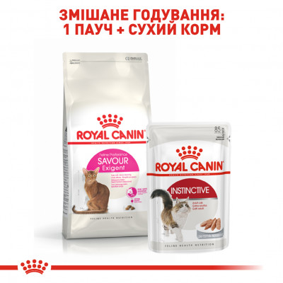 Сухий корм для вибагливих котів з чутливим травленням Royal Canin Savour Exigent 2 кг (домашня птиця) Сухий корм для вибагливих котів з чутливим травленням Royal Canin Savour Exigent 2 кг (домашня птиця)