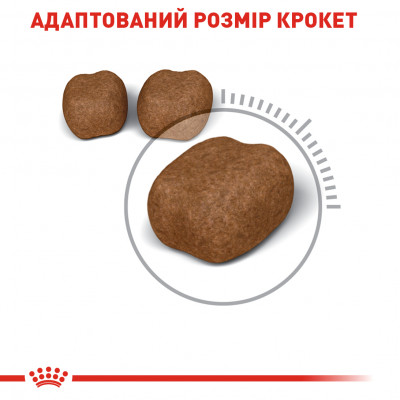 Сухий корм для котів, для зниження утворення зубного каменю Royal Canin Oral Care 400 г (домашня птиця) Сухий корм для котів, для зниження утворення зубного каменю Royal Canin Oral Care 400 г (домашня птиця)