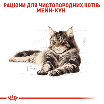 Сухой корм для взрослых кошек породы мейн-кун Royal Canin Maine Coon Adult | 10+2 кг в подарок (домашняя птица) Сухой корм для взрослых кошек породы мейн-кун Royal Canin Maine Coon Adult | 10+2 кг в подарок (домашняя птица)