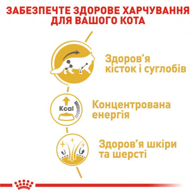 Вологий корм для дорослих котів породи мейн-кун Royal Canin Maine Coon Adult pouch 85 г 3+1 шт у подарунок (домашня птиця) Вологий корм для дорослих котів породи мейн-кун Royal Canin Maine Coon Adult pouch 85 г 3+1 шт у подарунок (домашня птиця)