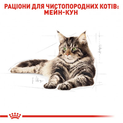 Вологий корм для дорослих котів породи мейн-кун Royal Canin Maine Coon Adult pouch 85 г 3+1 шт у подарунок (домашня птиця) Вологий корм для дорослих котів породи мейн-кун Royal Canin Maine Coon Adult pouch 85 г 3+1 шт у подарунок (домашня птиця)
