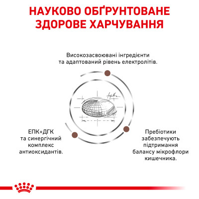 Сухой корм для кошек, при заболеваниях желудочно-кишечного тракта Royal Canin Gastro Intestinal Moderate Calorie 2 кг (домашняя птица) Сухой корм для кошек, при заболеваниях желудочно-кишечного тракта Royal Canin Gastro Intestinal Moderate Calorie 2 кг (домашняя птица)