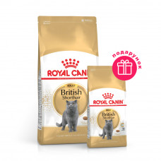 Сухий корм для дорослих котів породи британська короткошерста Royal Canin British Shorthair Adult 2 кг + 400 г у ПОДАРУНОК (домашня птиця)