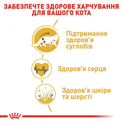 Сухий корм для дорослих котів породи мейн-кун Royal Canin Maine Coon Adult | 4 кг + Catsan 10 л (домашня птиця)