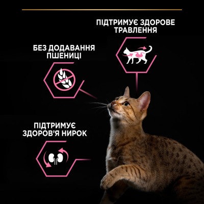Сухий корм для котів з чутливим травленням Pro Plan Delicate Turkey 10 кг (індичка) Сухий корм для котів з чутливим травленням Pro Plan Delicate Turkey 10 кг (індичка)
