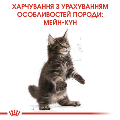 Сухий корм для кошенят породи мейн-кун Royal Canin Kitten Maine Coon 2 кг +400г (домашня птиця) Сухий корм для кошенят породи мейн-кун Royal Canin Kitten Maine Coon 2 кг +400г (домашня птиця)