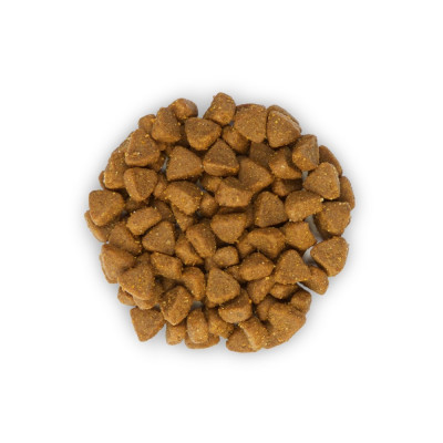 Сухий корм для кошенят Hills Science Plan Kitten 1,5 кг - курка Сухий корм для кошенят Hills Science Plan Kitten 1,5 кг - курка