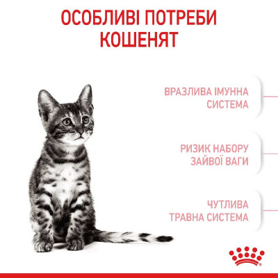 Сухий корм для стерилізованих кошенят Royal Canin Kitten Sterilised | 2 кг (домашня птиця) + Подарунок тунель-іграшка Сухий корм для стерилізованих кошенят Royal Canin Kitten Sterilised | 2 кг (домашня птиця) + Подарунок тунель-іграшка