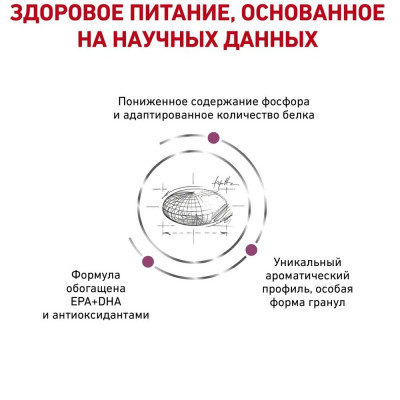 Сухий корм для котів, при захворюваннях нирок Royal Canin Renal 4 кг (домашня птиця) Сухий корм для котів, при захворюваннях нирок Royal Canin Renal 4 кг (домашня птиця)